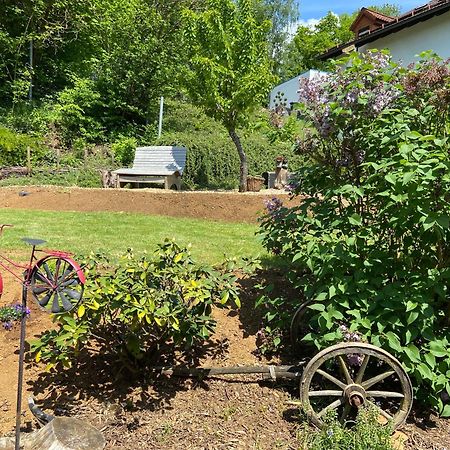 Apartmenthaus Ruhezeit Bad Endbach Extérieur photo